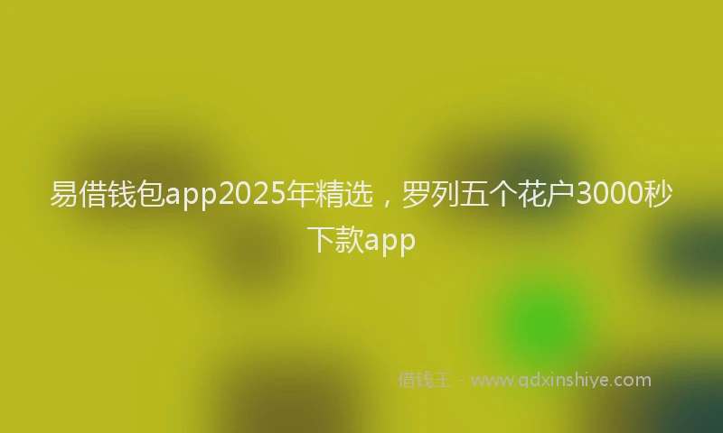 易借钱包app2025年精选，罗列五个花户3000秒下款app