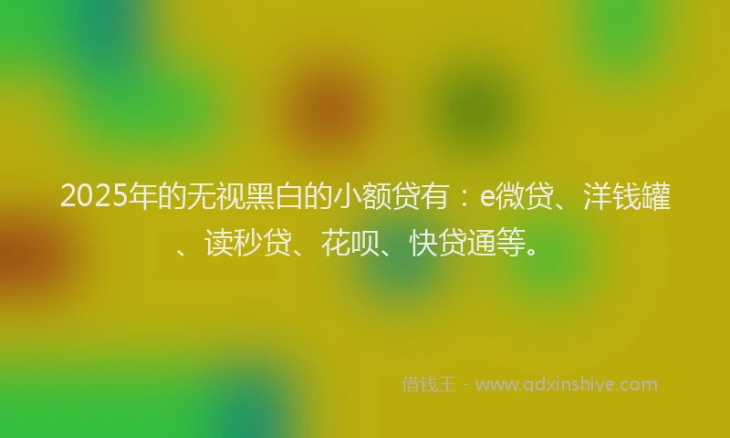 2025年的无视黑白的小额贷有：e微贷、洋钱罐、读秒贷、花呗、快贷通等。