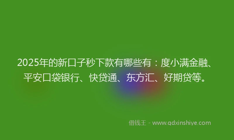 2025年的新口子秒下款有哪些有：度小满金融、平安口袋银行、快贷通、东方汇、好期贷等。