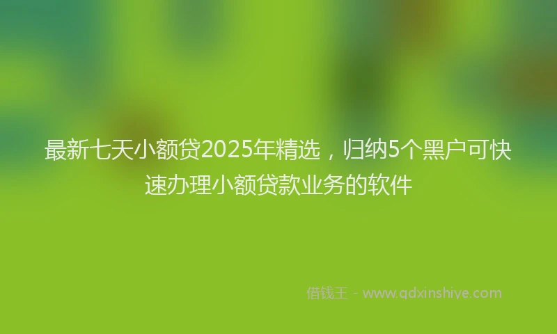 最新七天小额贷2025年精选，归纳5个黑户可快速办理小额贷款业务的软件