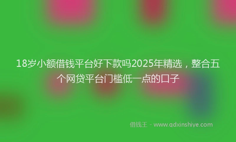 18岁小额借钱平台好下款吗2025年精选，整合五个网贷平台门槛低一点的口子