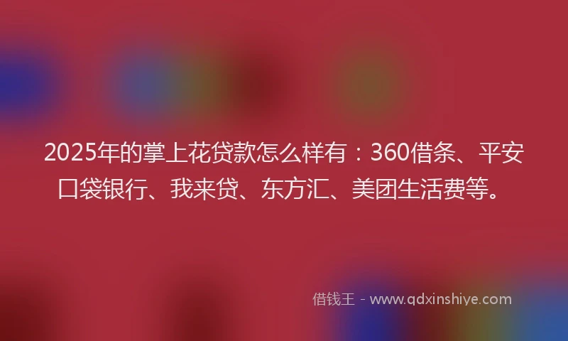 2025年的掌上花贷款怎么样有：360借条、平安口袋银行、我来贷、东方汇、美团生活费等。