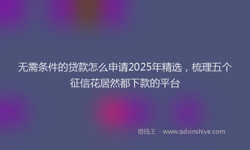 无需条件的贷款怎么申请2025年精选，梳理五个征信花居然都下款的平台