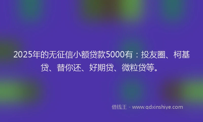 2025年的无征信小额贷款5000有：投友圈、柯基贷、替你还、好期贷、微粒贷等。