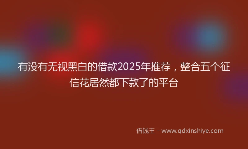 有没有无视黑白的借款2025年推荐，整合五个征信花居然都下款了的平台