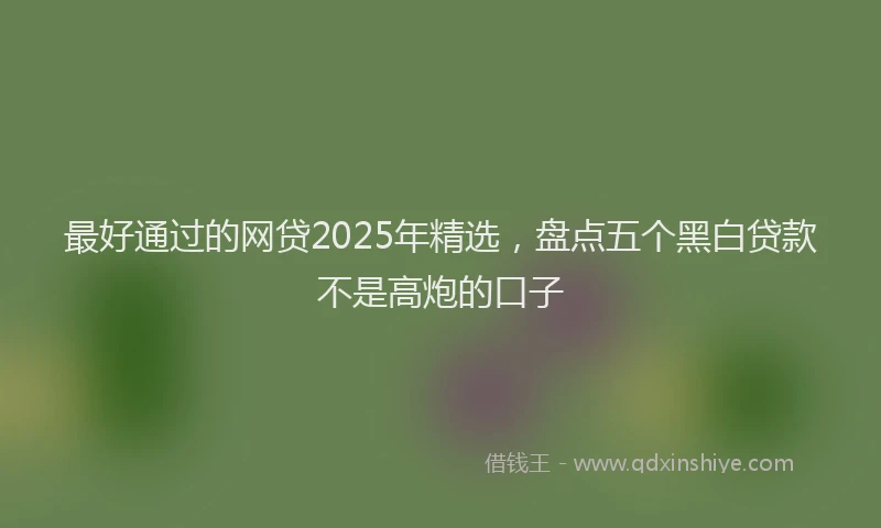 最好通过的网贷2025年精选，盘点五个黑白贷款不是高炮的口子
