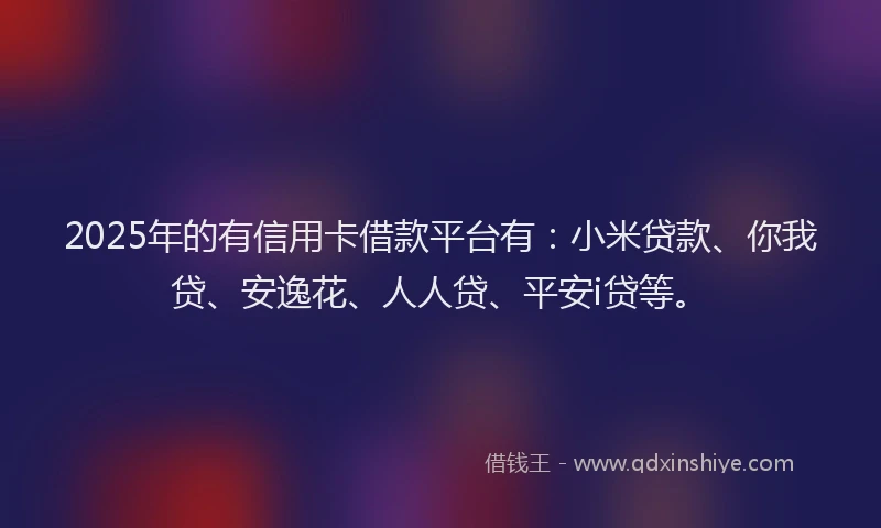 2025年的有信用卡借款平台有：小米贷款、你我贷、安逸花、人人贷、平安i贷等。