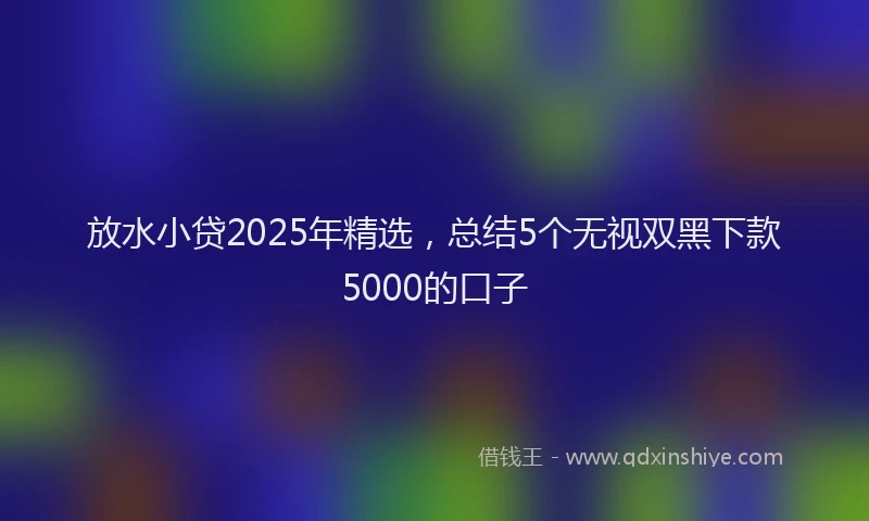 放水小贷2025年精选，总结5个无视双黑下款5000的口子
