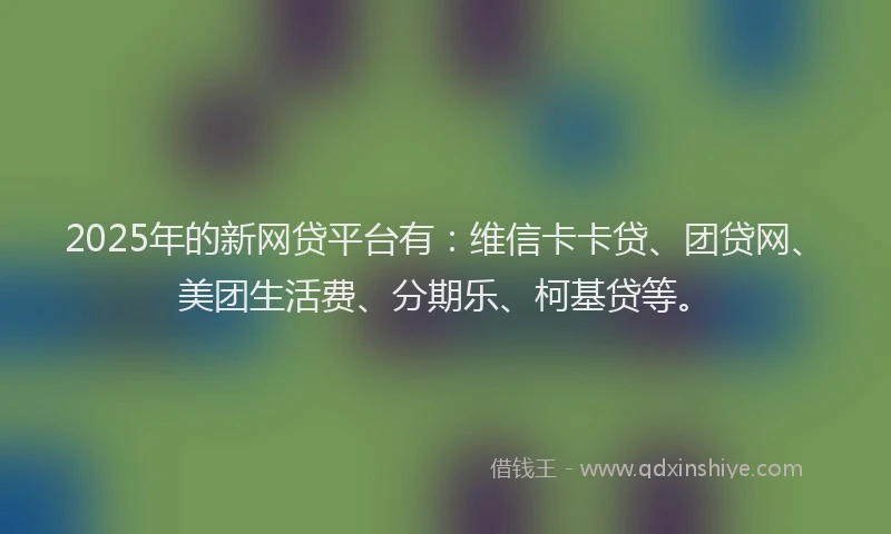 2025年的新网贷平台有：维信卡卡贷、团贷网、美团生活费、分期乐、柯基贷等。