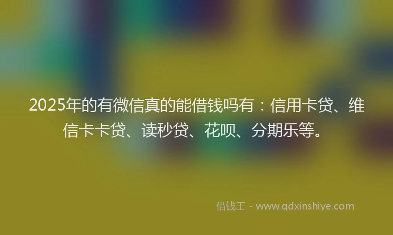 2025年的有微信真的能借钱吗有：信用卡贷、维信卡卡贷、读秒贷、花呗、分期乐等。
