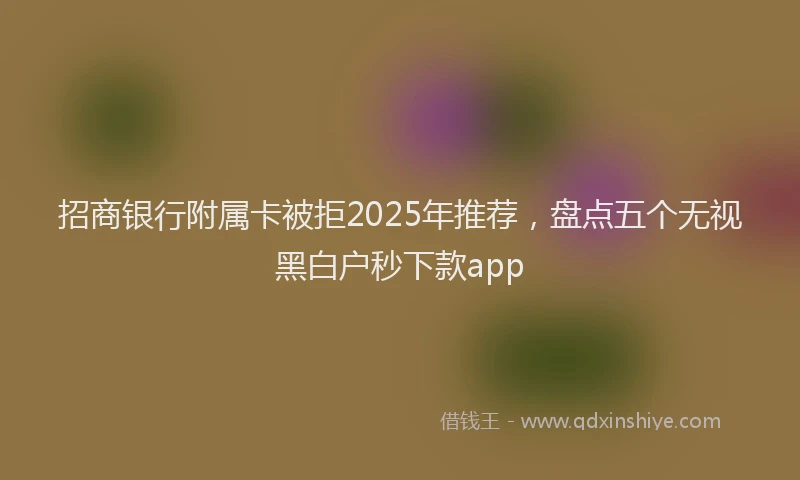 招商银行附属卡被拒2025年推荐，盘点五个无视黑白户秒下款app