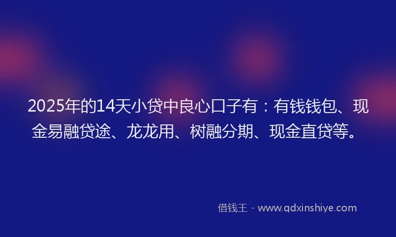 2025年的14天小贷中良心口子有：有钱钱包、现金易融贷途、龙龙用、树融分期、现金直贷等。
