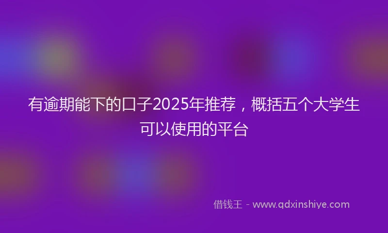 有逾期能下的口子2025年推荐，概括五个大学生可以使用的平台
