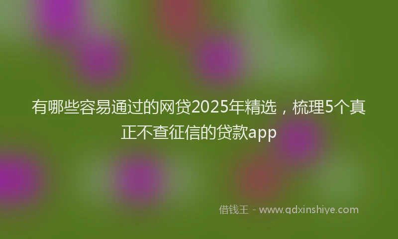 有哪些容易通过的网贷2025年精选，梳理5个真正不查征信的贷款app