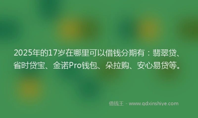 2025年的17岁在哪里可以借钱分期有：翡翠贷、省时贷宝、金诺Pro钱包、朵拉购、安心易贷等。