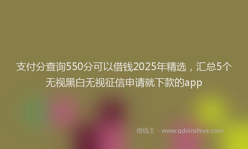 支付分查询550分可以借钱2025年精选，汇总5个无视黑白无视征信申请就下款的app