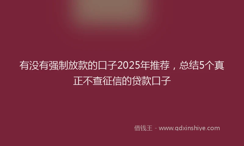 有没有强制放款的口子2025年推荐，总结5个真正不查征信的贷款口子