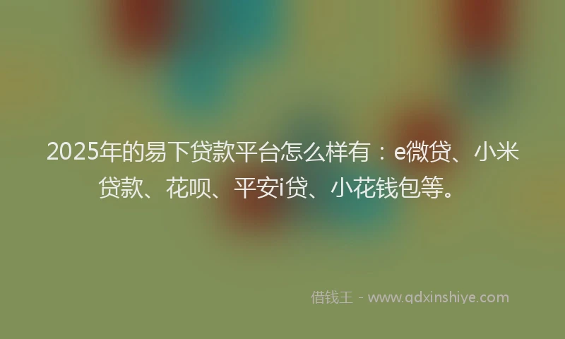 2025年的易下贷款平台怎么样有：e微贷、小米贷款、花呗、平安i贷、小花钱包等。