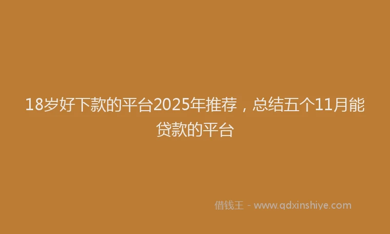 18岁好下款的平台2025年推荐，总结五个11月能贷款的平台