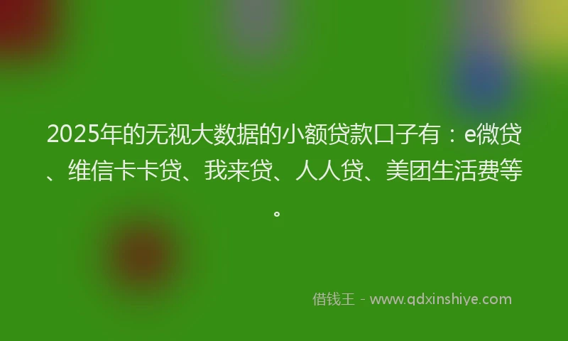 2025年的无视大数据的小额贷款口子有：e微贷、维信卡卡贷、我来贷、人人贷、美团生活费等。