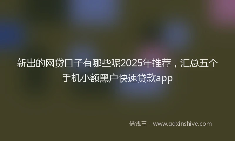 新出的网贷口子有哪些呢2025年推荐，汇总五个手机小额黑户快速贷款app