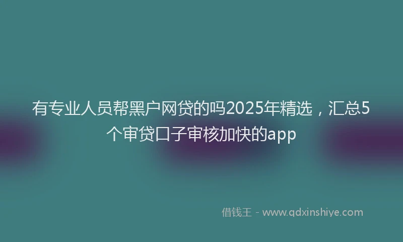 有专业人员帮黑户网贷的吗2025年精选，汇总5个审贷口子审核加快的app