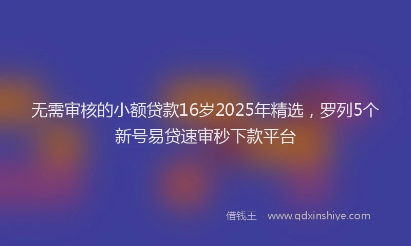 无需审核的小额贷款16岁2025年精选，罗列5个新号易贷速审秒下款平台