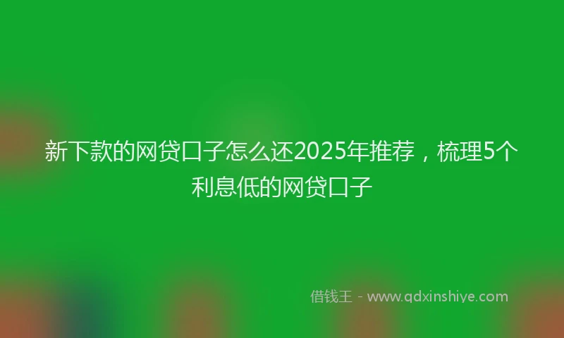 新下款的网贷口子怎么还2025年推荐，梳理5个利息低的网贷口子