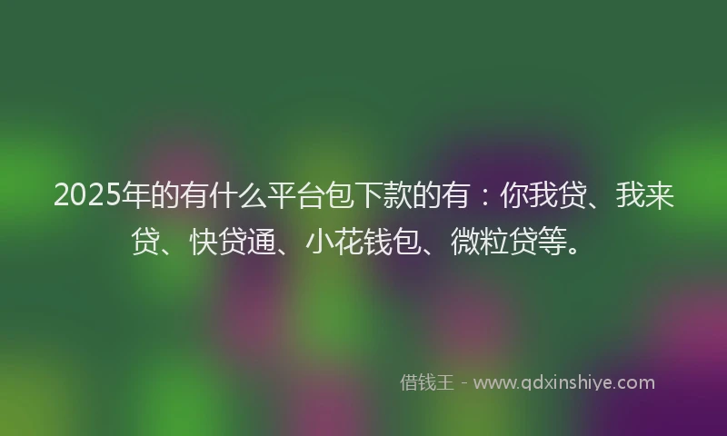 2025年的有什么平台包下款的有：你我贷、我来贷、快贷通、小花钱包、微粒贷等。