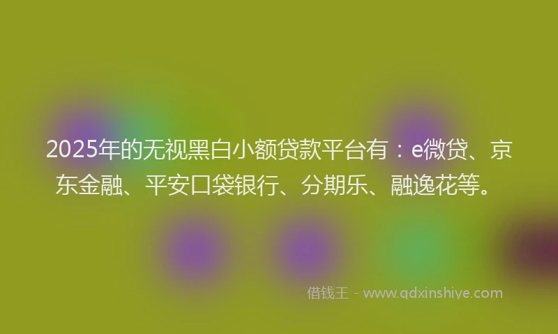 2025年的无视黑白小额贷款平台有：e微贷、京东金融、平安口袋银行、分期乐、融逸花等。