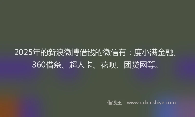 2025年的新浪微博借钱的微信有：度小满金融、360借条、超人卡、花呗、团贷网等。