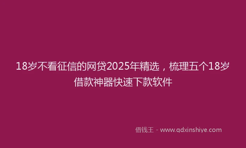 18岁不看征信的网贷2025年精选，梳理五个18岁借款神器快速下款软件