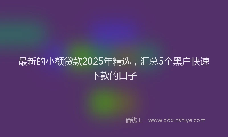 最新的小额贷款2025年精选，汇总5个黑户快速下款的口子