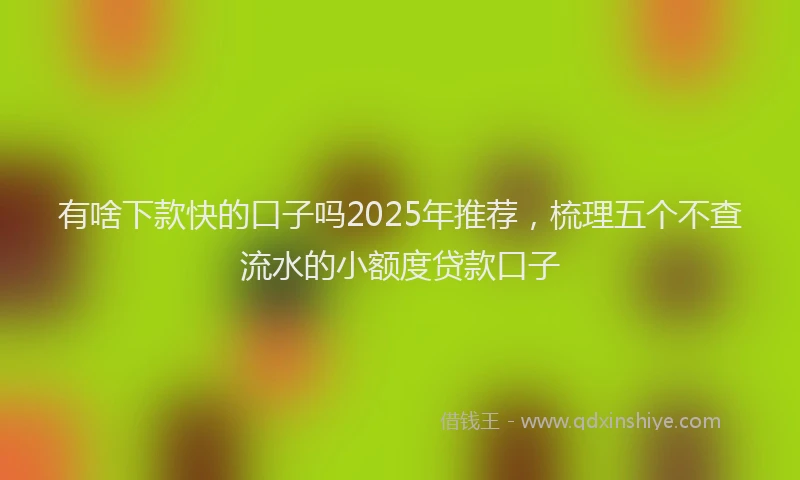 有啥下款快的口子吗2025年推荐，梳理五个不查流水的小额度贷款口子