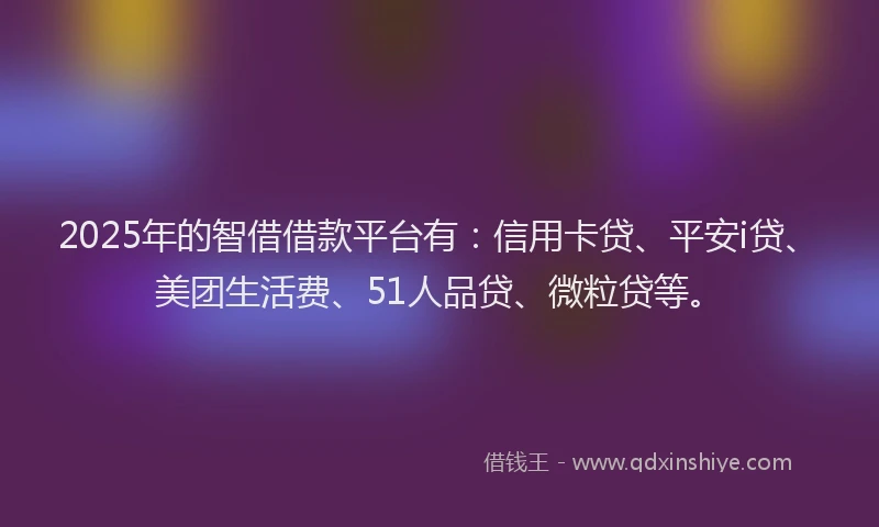 2025年的智借借款平台有：信用卡贷、平安i贷、美团生活费、51人品贷、微粒贷等。