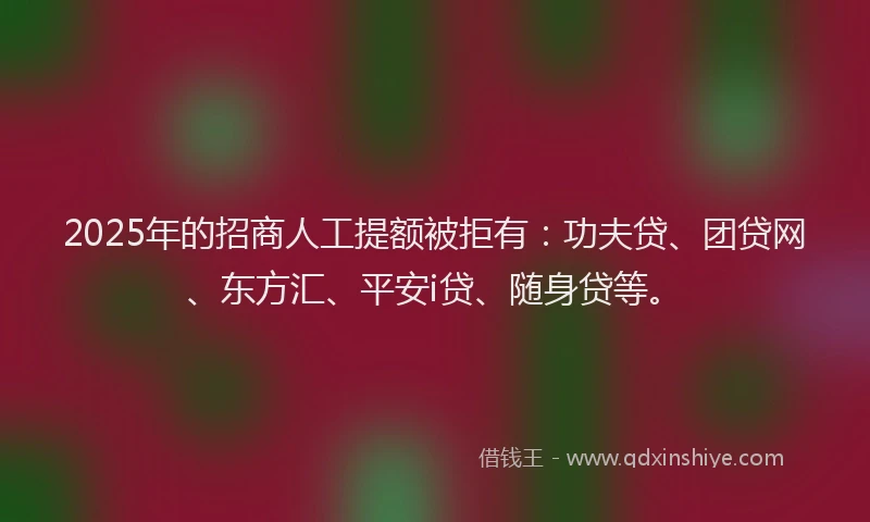 2025年的招商人工提额被拒有：功夫贷、团贷网、东方汇、平安i贷、随身贷等。
