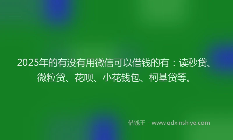 2025年的有没有用微信可以借钱的有：读秒贷、微粒贷、花呗、小花钱包、柯基贷等。