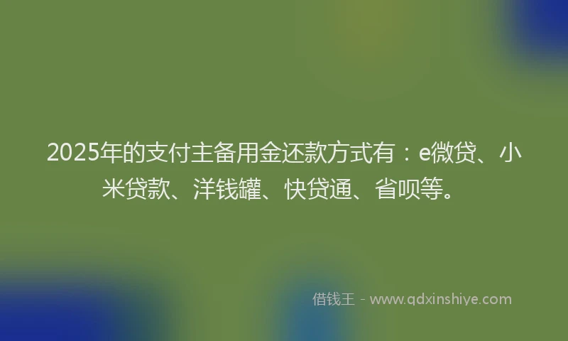 2025年的支付主备用金还款方式有：e微贷、小米贷款、洋钱罐、快贷通、省呗等。