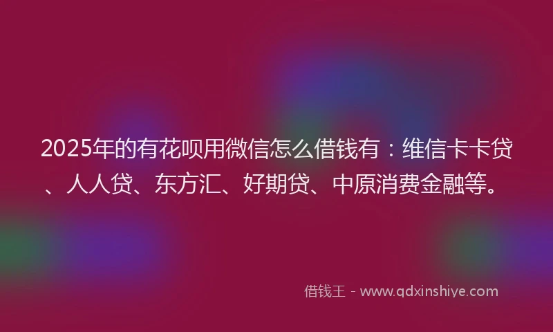 2025年的有花呗用微信怎么借钱有：维信卡卡贷、人人贷、东方汇、好期贷、中原消费金融等。