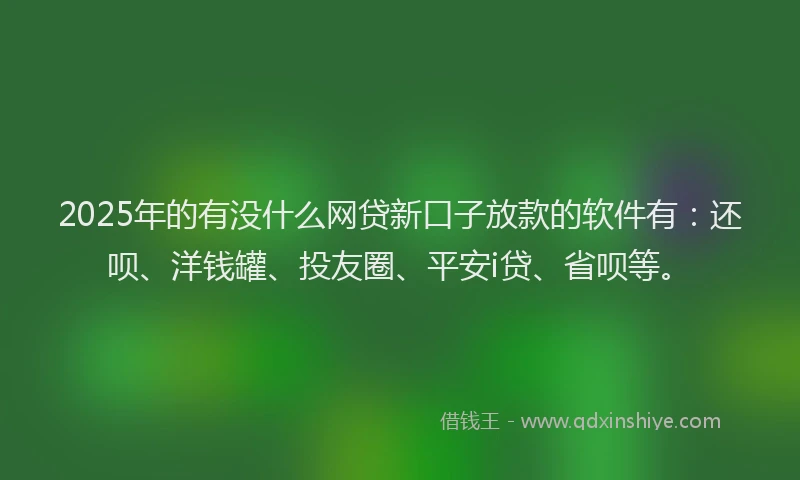 2025年的有没什么网贷新口子放款的软件有：还呗、洋钱罐、投友圈、平安i贷、省呗等。