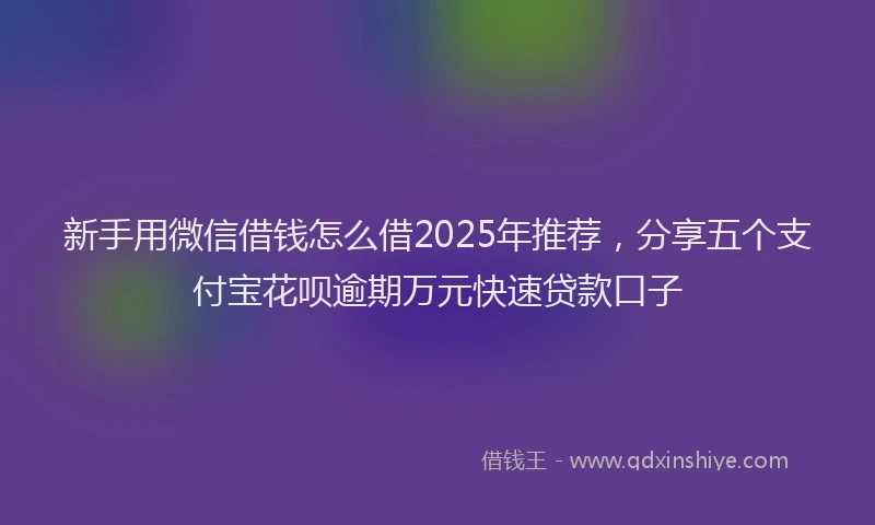 新手用微信借钱怎么借2025年推荐，分享五个支付宝花呗逾期万元快速贷款口子