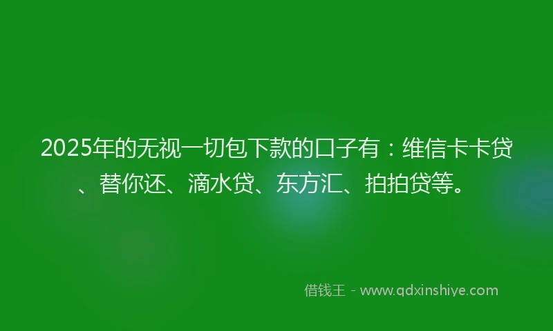 2025年的无视一切包下款的口子有：维信卡卡贷、替你还、滴水贷、东方汇、拍拍贷等。