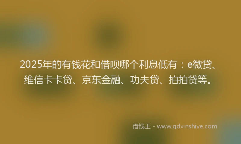 2025年的有钱花和借呗哪个利息低有：e微贷、维信卡卡贷、京东金融、功夫贷、拍拍贷等。