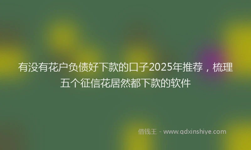 有没有花户负债好下款的口子2025年推荐，梳理五个征信花居然都下款的软件