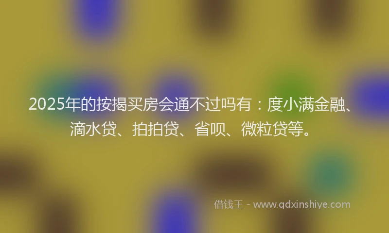 2025年的按揭买房会通不过吗有：度小满金融、滴水贷、拍拍贷、省呗、微粒贷等。