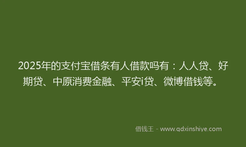 2025年的支付宝借条有人借款吗有：人人贷、好期贷、中原消费金融、平安i贷、微博借钱等。