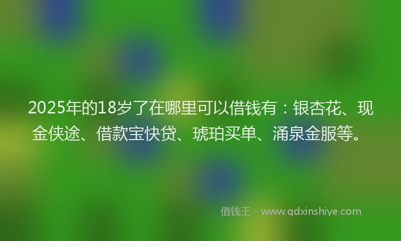 2025年的18岁了在哪里可以借钱有：银杏花、现金侠途、借款宝快贷、琥珀买单、涌泉金服等。