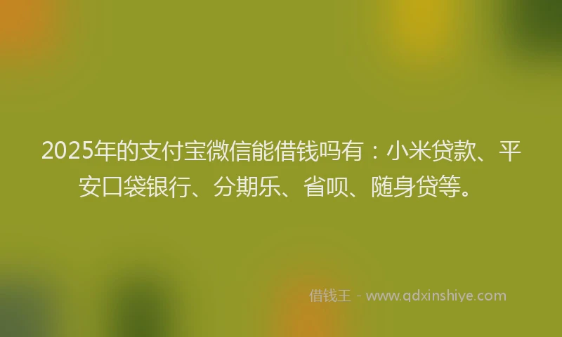 2025年的支付宝微信能借钱吗有：小米贷款、平安口袋银行、分期乐、省呗、随身贷等。