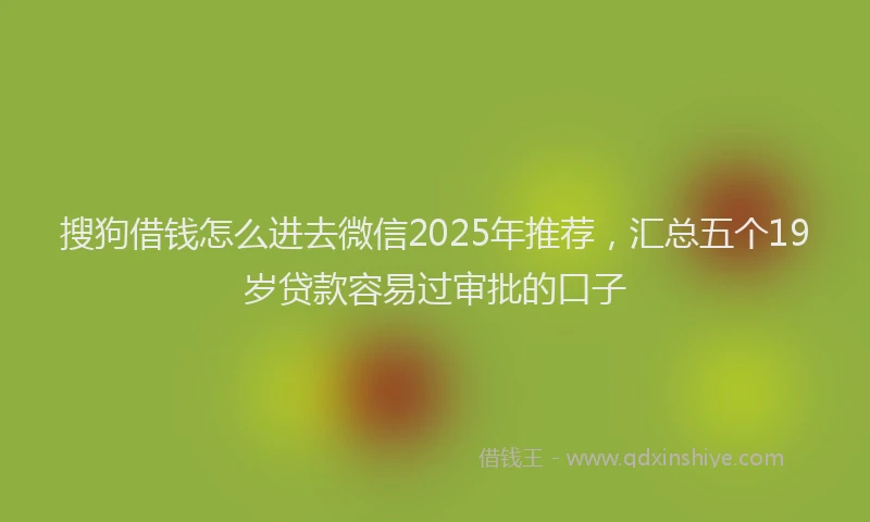 搜狗借钱怎么进去微信2025年推荐，汇总五个19岁贷款容易过审批的口子