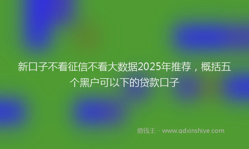 新口子不看征信不看大数据2025年推荐，概括五个黑户可以下的贷款口子